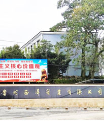 貴州西洋實業(yè)項目--借助眾升科技10KV戶外箱變式無功補償裝置，功率因數(shù)達標！