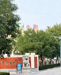 眾升科技高壓無功補(bǔ)償柜 --助力山東福洋生物科技股份有限公司,高效用電、改善用電質(zhì)量！