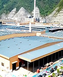 眾升科技高壓動態(tài)無功補償裝置(SVG)，助力中策橡膠 (建德) 有限公司，高效用電、改善電能質(zhì)量！